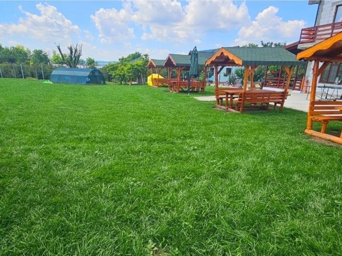 Bed and Breakfast Colt De Rai Hîrtoape Exterior foto